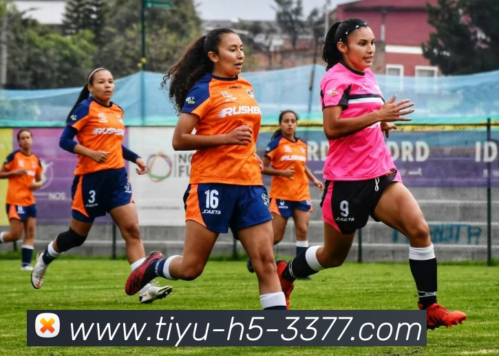 3377体育发展历程